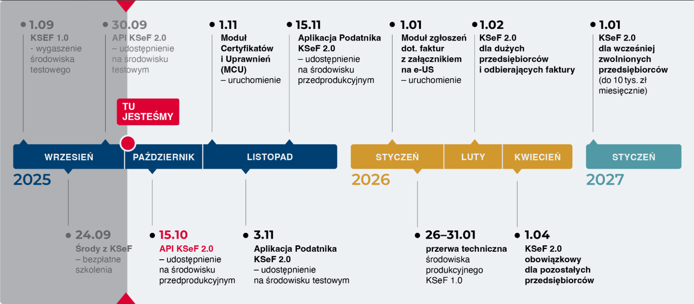 Time line KSEF grafika dekoracyjna