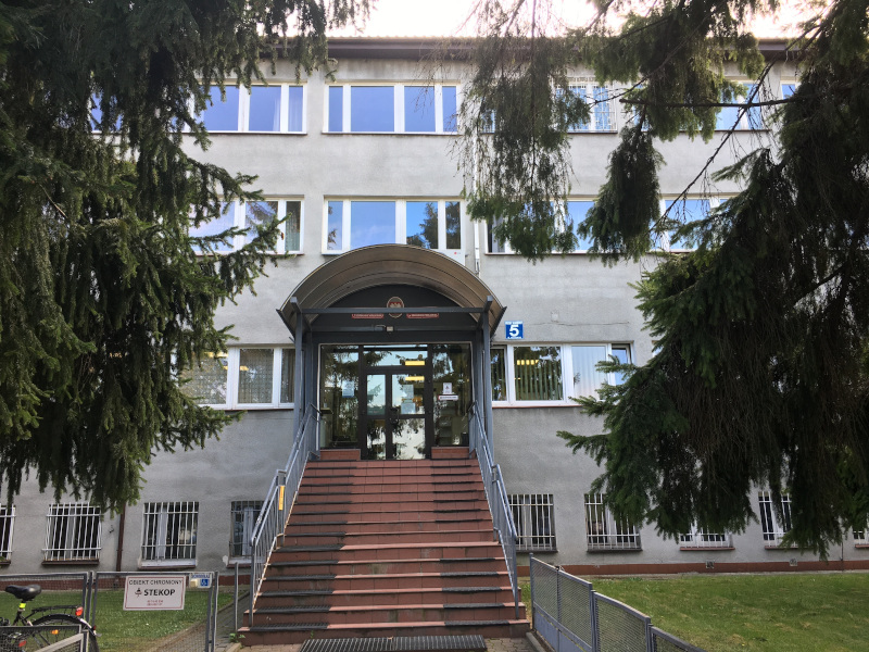 Budynek Urzędu Skarbowego w Sokołowie Podlaskim, Wejście i schody, przed budynkiem drzewa.