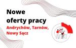 Grafika przedstawiająca człowieka analizującego wykres. Napis: Nowe oferty pracy Andrychów,Tarnów, Nowy Sącz