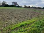 Nieruchomość to niezabudowana działka gruntowa numer 1644, o powierzchni 0,58 ha,
zlokalizowana w Siemiechowie, w gminie Gromnik, powiecie tarnowskim w części budowlana